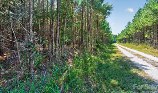 Photo #8 of Narrow Bridge, Chester, SC