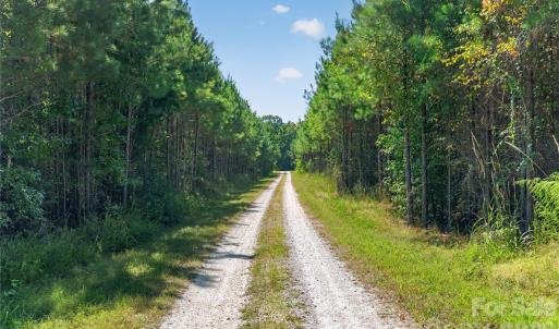 Photo #27 of Narrow Bridge, Chester, SC