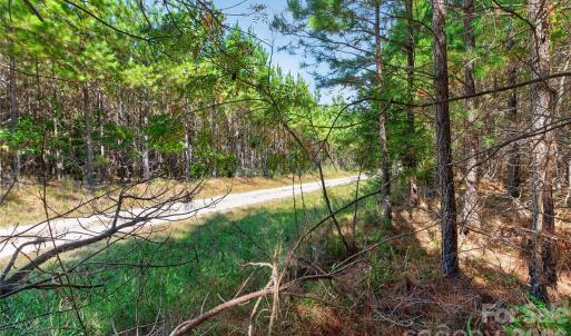 Photo #9 of Narrow Bridge, Chester, SC