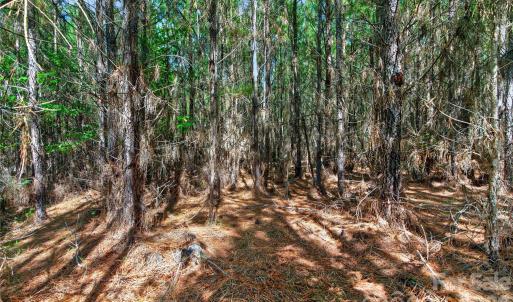 Photo #16 of Narrow Bridge, Chester, SC