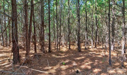 Photo #22 of Narrow Bridge, Chester, SC