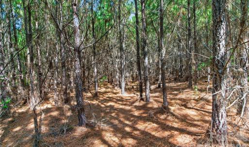 Photo #24 of Narrow Bridge, Chester, SC