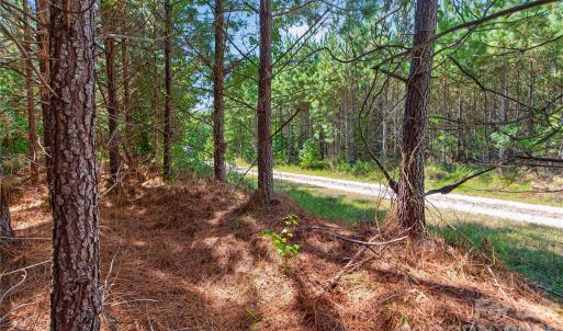 Photo #12 of Narrow Bridge, Chester, SC