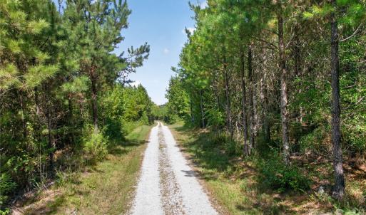 Photo #21 of Narrow Bridge, Chester, SC