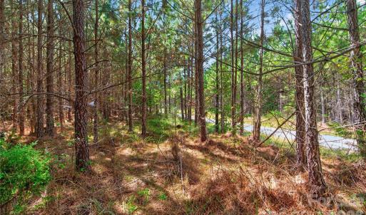 Photo #26 of Narrow Bridge, Chester, SC