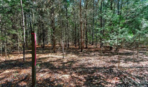 Photo #20 of 2 Pittman, Rock Hill, SC