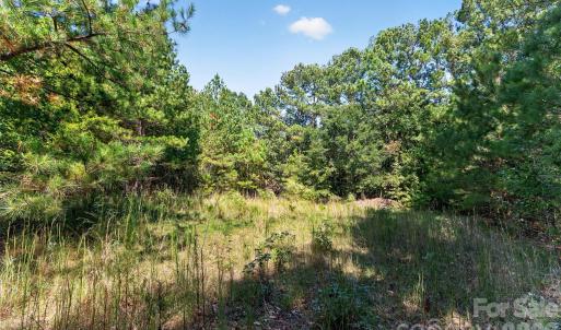 Photo #27 of 2 Pittman, Rock Hill, SC