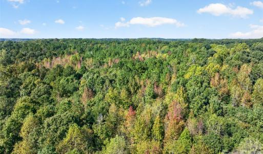 Photo #9 of 2 Pittman, Rock Hill, SC