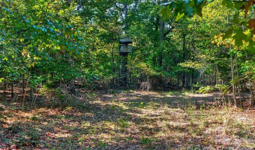 Photo #26 of 2 Pittman, Rock Hill, SC