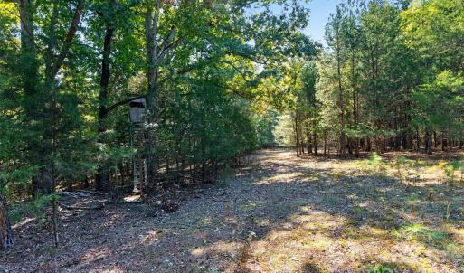 Photo #24 of 2 Pittman, Rock Hill, SC