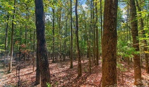 Photo #28 of 2 Pittman, Rock Hill, SC