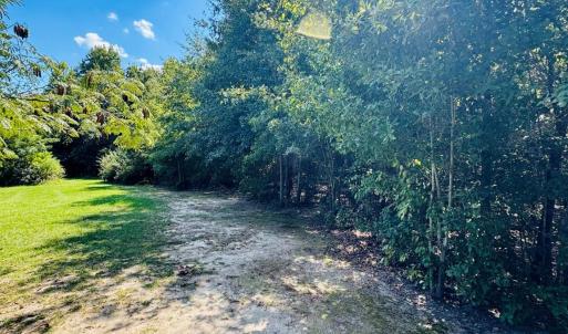 Photo #6 of Lot 166 Brangus, Cheraw, SC
