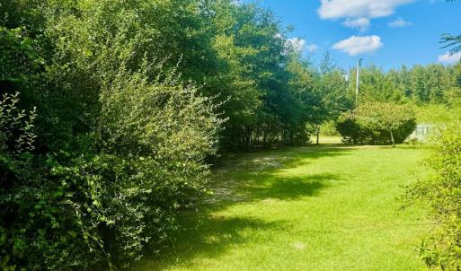 Photo #7 of Lot 166 Brangus, Cheraw, SC