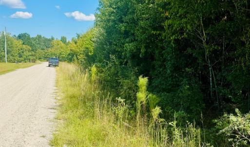 Photo #8 of Lot 166 Brangus, Cheraw, SC
