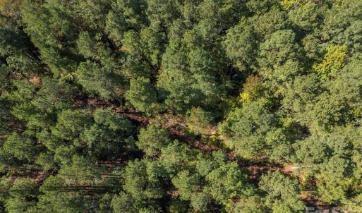 Photo #17 of Laurel Knoll, Landrum, SC
