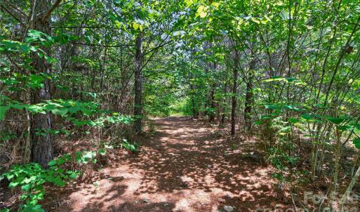 Photo #7 of Blanton, Sharon, SC