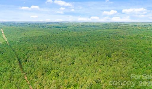 Photo #13 of Blanton, Sharon, SC