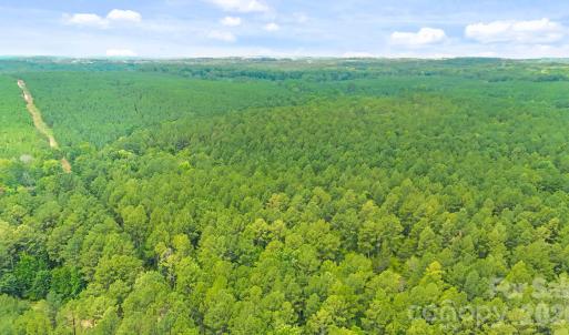 Photo #16 of Blanton, Sharon, SC