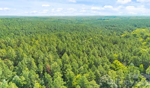 Photo #11 of Blanton, Sharon, SC