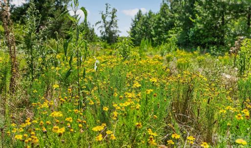 Photo #6 of Blanton, Sharon, SC
