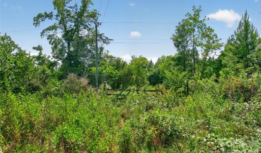 Photo #22 of Blanton, Sharon, SC