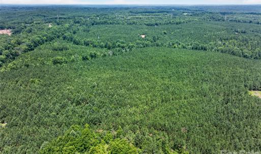 Photo #19 of Blanton, Sharon, SC