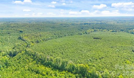Photo #10 of Blanton, Sharon, SC
