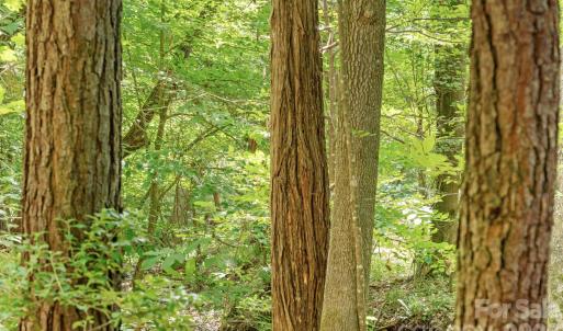 Photo #17 of Blanton, Sharon, SC