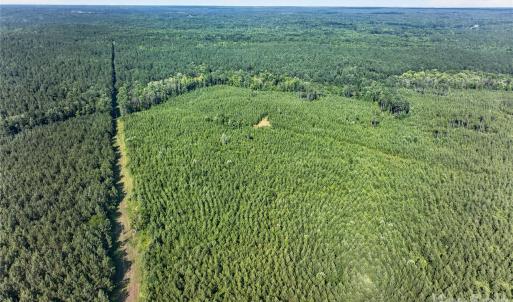 Photo #21 of Blanton, Sharon, SC
