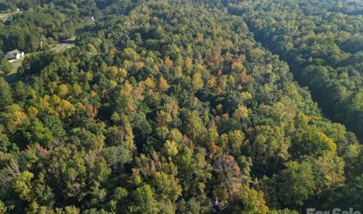 Photo #3 of Shadybark, Catawba, SC