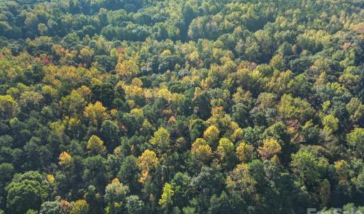 Photo #7 of Shadybark, Catawba, SC