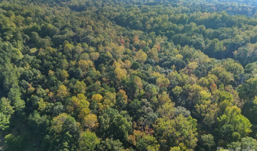Photo #6 of Shadybark, Catawba, SC