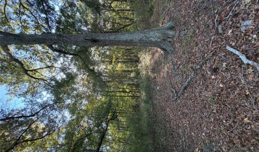 Photo #3 of Beacon, Lancaster, SC