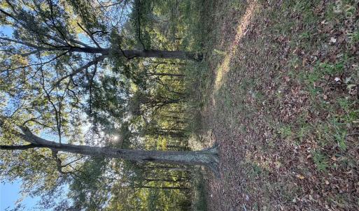 Photo #2 of Beacon, Lancaster, SC