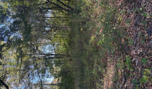 Photo #5 of Beacon, Lancaster, SC