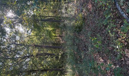 Photo #4 of Beacon, Lancaster, SC
