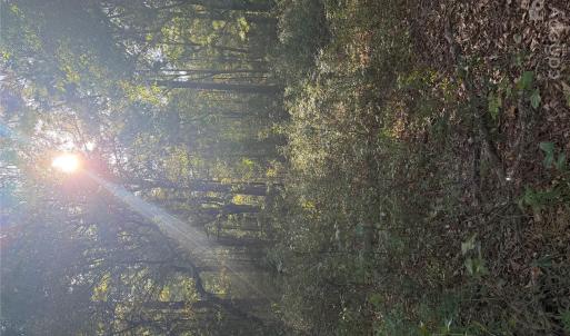 Photo #6 of Beacon, Lancaster, SC