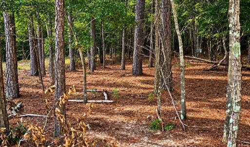 Photo #2 of TBD/Land LOT B Beaker, Heath Springs, SC