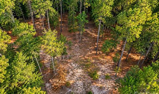 Photo #1 of TBD/Land LOT B Beaker, Heath Springs, SC