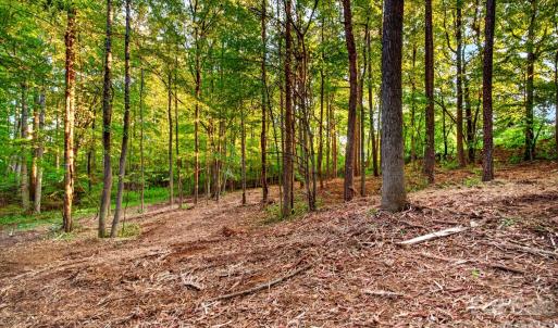 Photo #6 of Seay, Advance, NC