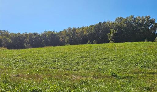 Photo #8 of Cloud Top, Mooresville, NC