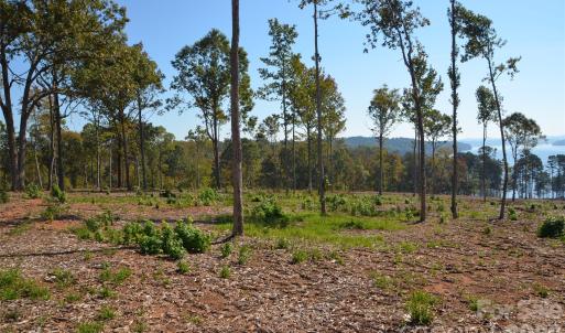 Photo #20 of 31 Reserve, New London, NC