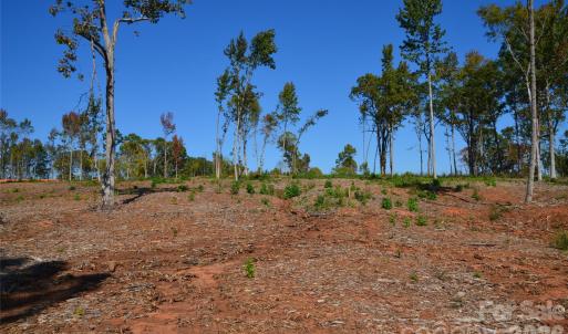 Photo #16 of 31 Reserve, New London, NC
