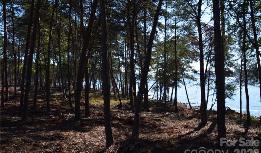 Photo #5 of 31 Reserve, New London, NC