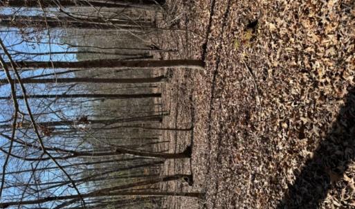 Photo #1 of Vintage, Lilesville, NC