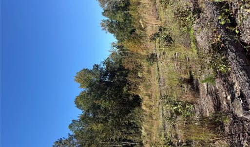 Photo #2 of TBD Rock House, Mount Croghan, SC