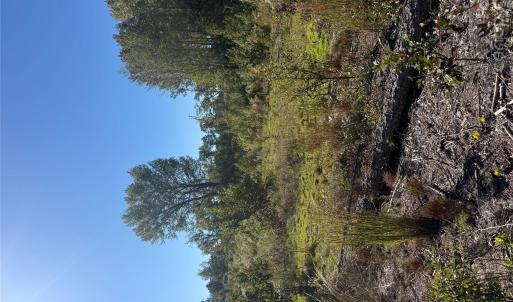 Photo #1 of TBD Rock House, Mount Croghan, SC