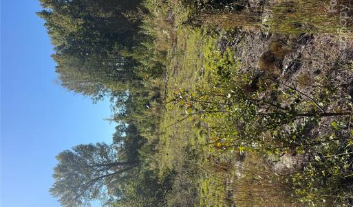 Photo #3 of TBD Rock House, Mount Croghan, SC