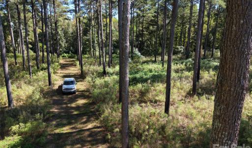 Photo #32 of 393 Red Hill, Wadesboro, NC