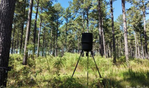 Photo #43 of 393 Red Hill, Wadesboro, NC